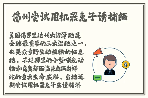 差差差很疼下载免费观看